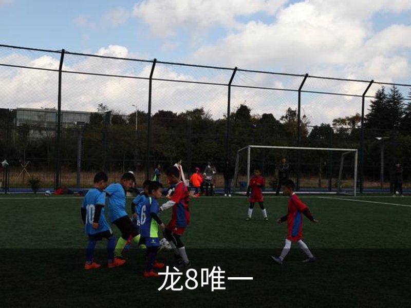 龙8唯一简介